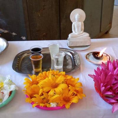 482327682 122189767376249528 6401231071879091023 N