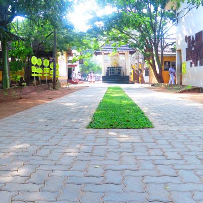 Clean Sri Lanka වැඩසටහන ක්‍රියාත්මක වීමෙන් පසු අප පාසල් භූමිය...